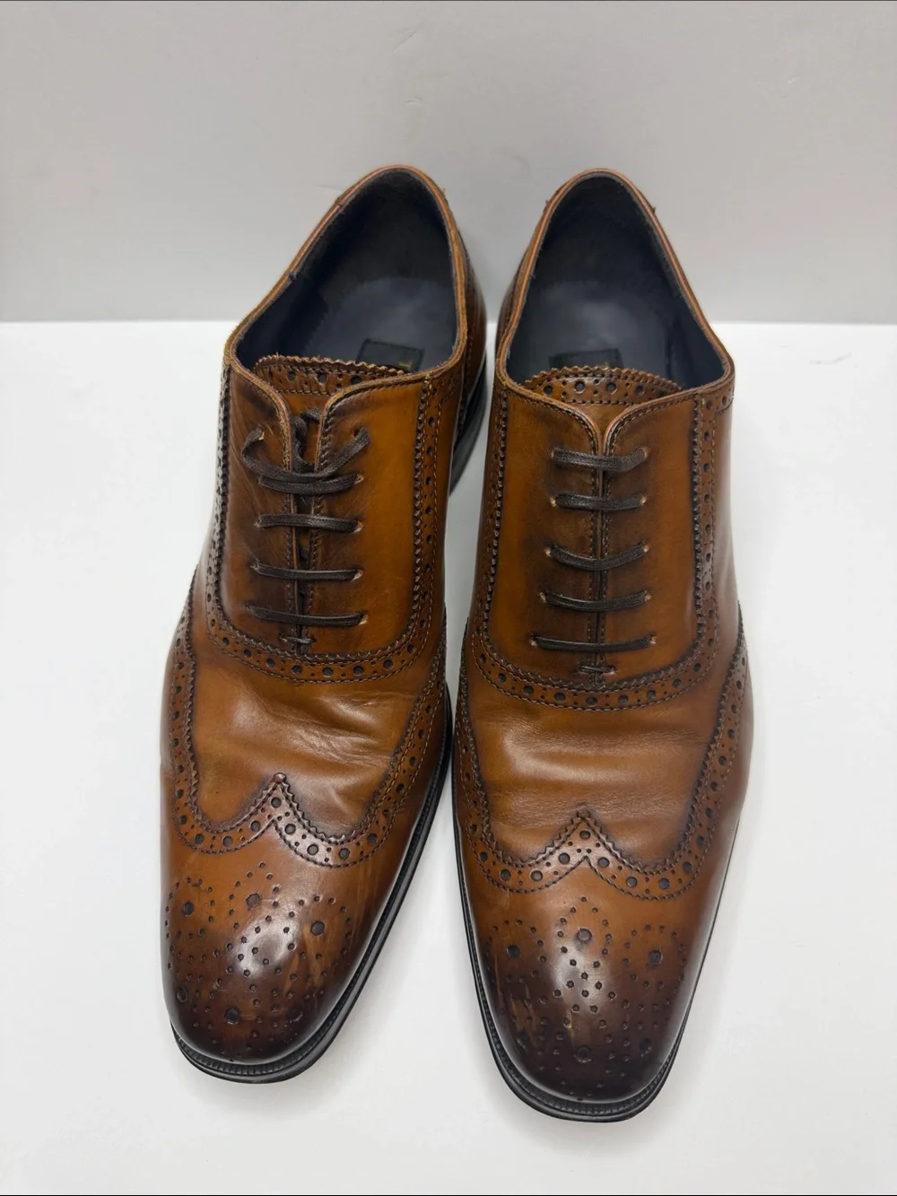 To Boot Tan Brown Leather Wingtip Oxfords